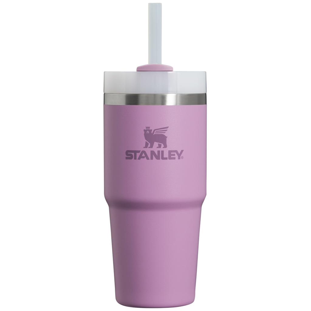 The Quencher H2.0 FlowState™ Tumbler  | 14 OZ - Stanley Create